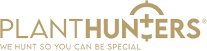 Logo Goud